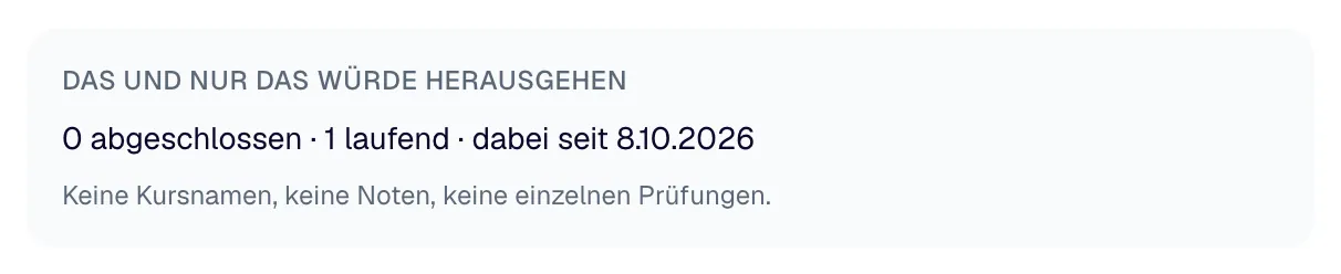 „Das und nur das würde herausgehen“: die Vorschau dessen, was ein Unternehmen sehen würde.